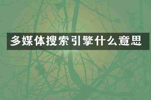 多媒体搜索引擎什么意思