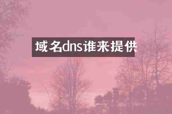 域名dns谁来提供
