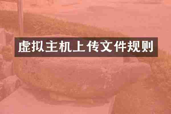 虚拟主机上传文件规则