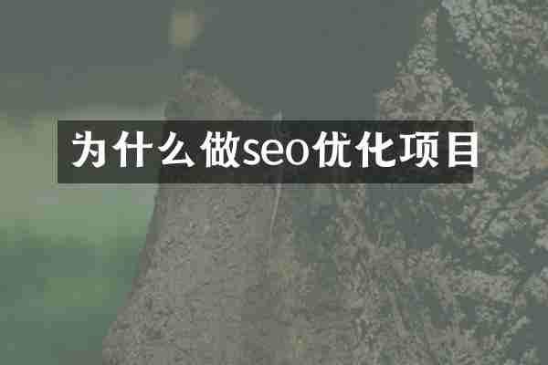 为什么做seo优化项目