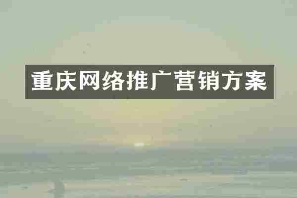 重庆网络推广营销方案