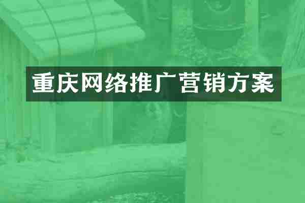 重庆网络推广营销方案