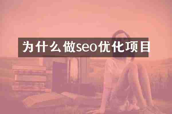 为什么做seo优化项目