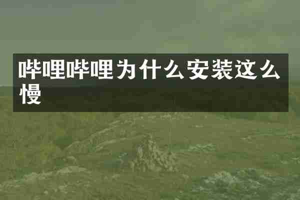 哔哩哔哩为什么安装这么慢