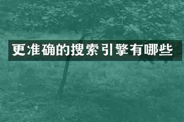 更准确的搜索引擎有哪些