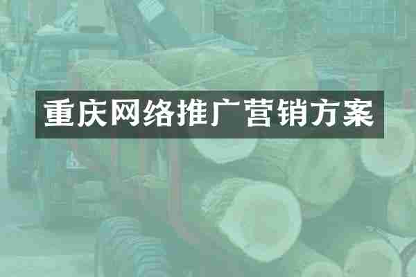重庆网络推广营销方案