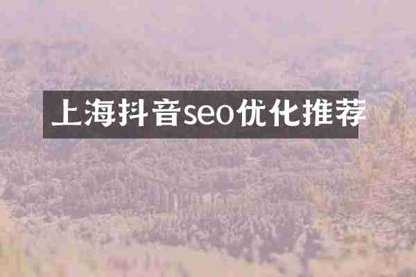 上海抖音seo优化推荐
