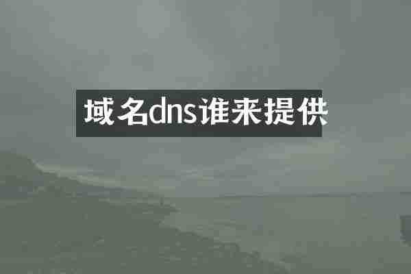 域名dns谁来提供