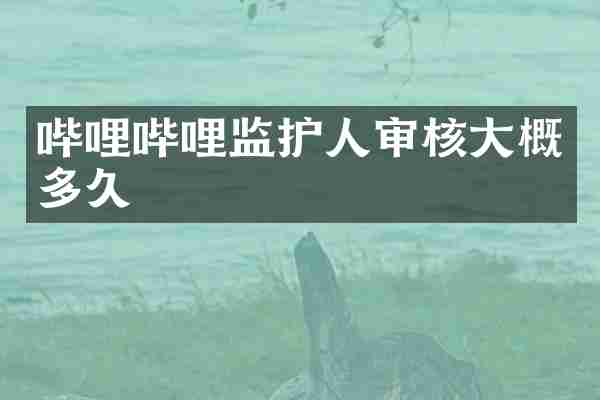 哔哩哔哩监护人审核大概多久