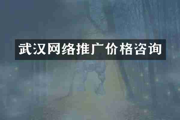 武汉网络推广价格咨询