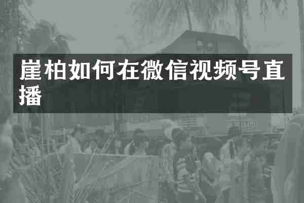 崖柏如何在微信视频号直播