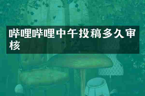 哔哩哔哩中午投稿多久审核