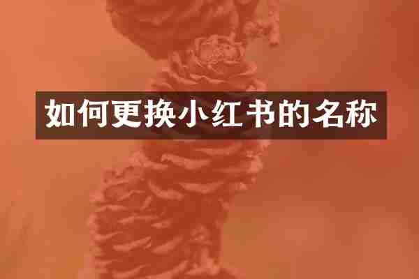 如何更换小红书的名称