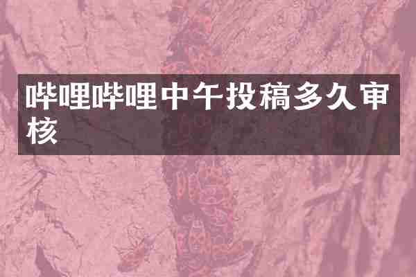 哔哩哔哩中午投稿多久审核