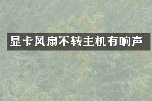 显卡风扇不转主机有响声