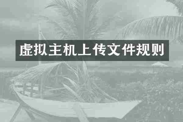 虚拟主机上传文件规则