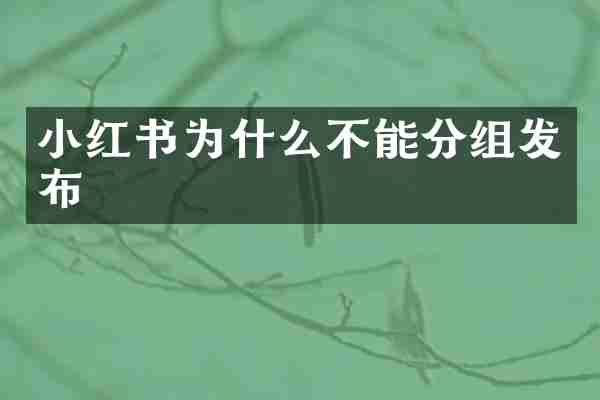 小红书为什么不能分组发布