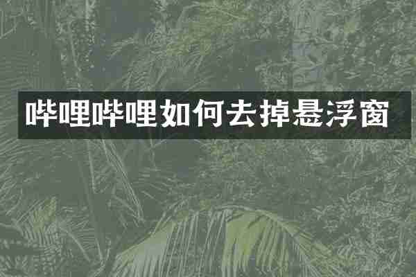 哔哩哔哩如何去掉悬浮窗