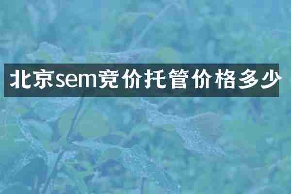 北京sem竞价托管价格多少