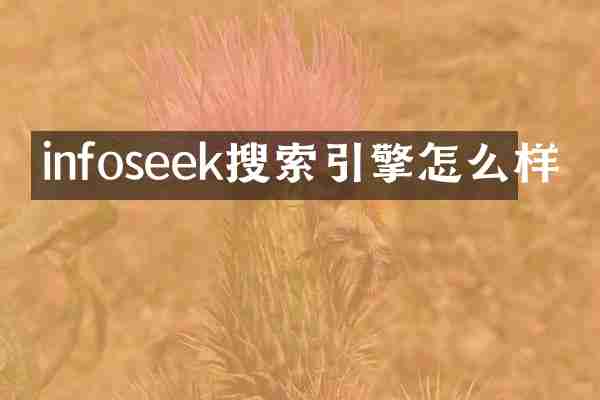 infoseek搜索引擎怎么样