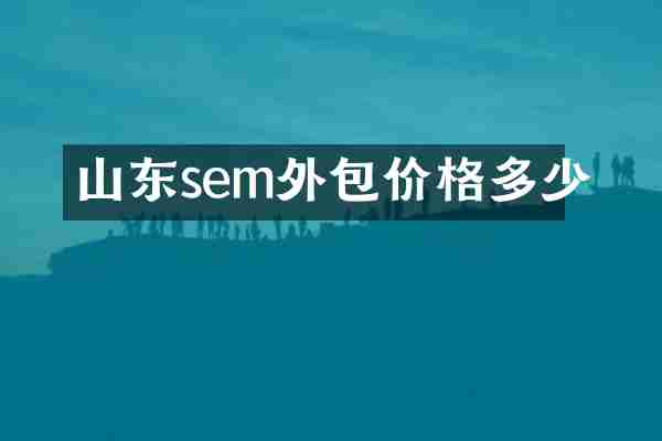 山东sem外包价格多少