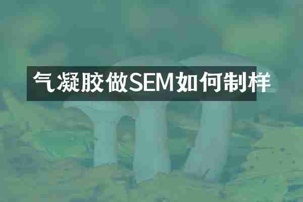 气凝胶做SEM如何制样