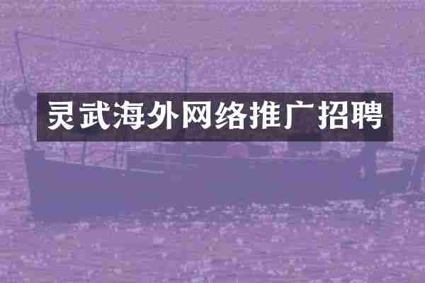 灵武海外网络推广招聘