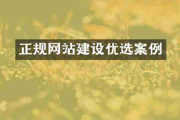 正规网站建设优选案例