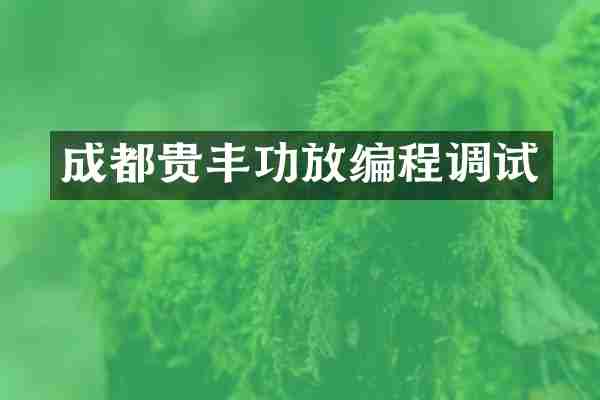 成都贵丰功放编程调试