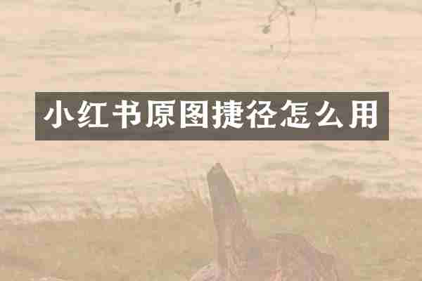小红书原图捷径怎么用