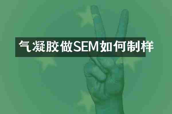 气凝胶做SEM如何制样