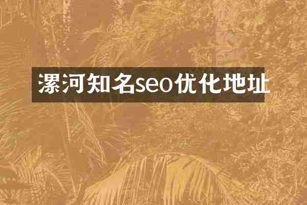漯河知名seo优化地址