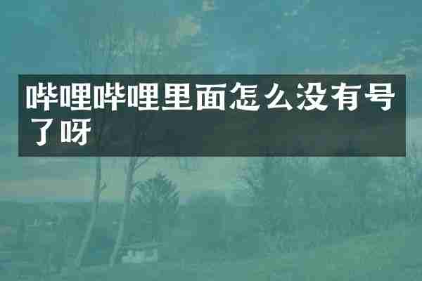 哔哩哔哩里面怎么没有号了呀