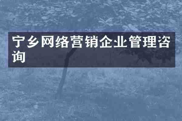 宁乡网络营销企业管理咨询