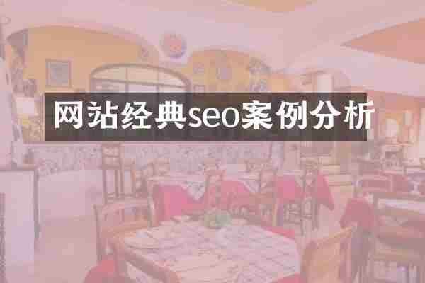 网站经典seo案例分析
