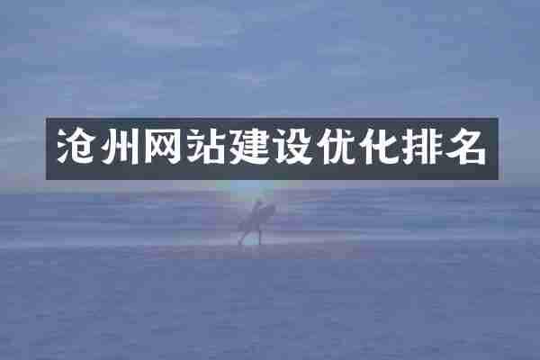 沧州网站建设优化排名