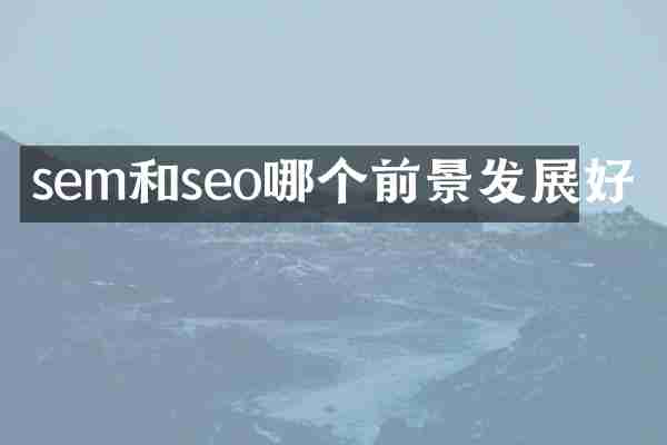 sem和seo哪个前景发展好