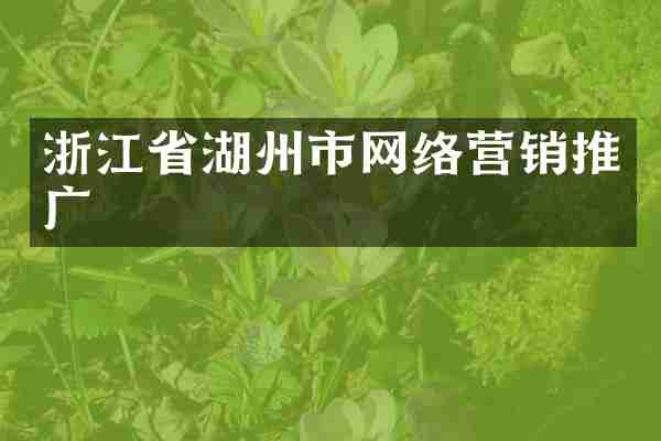 浙江省湖州市网络营销推广