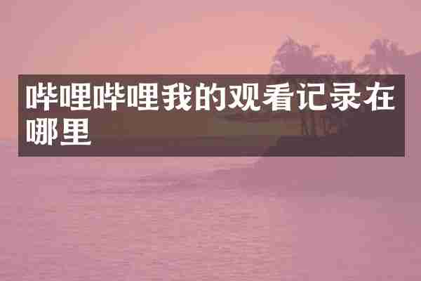 哔哩哔哩我的观看记录在哪里