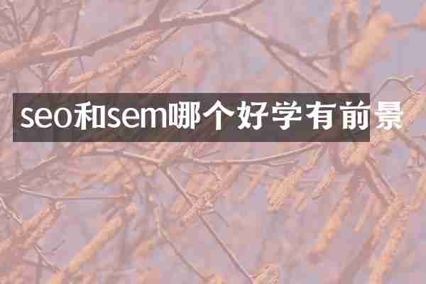seo和sem哪个好学有前景