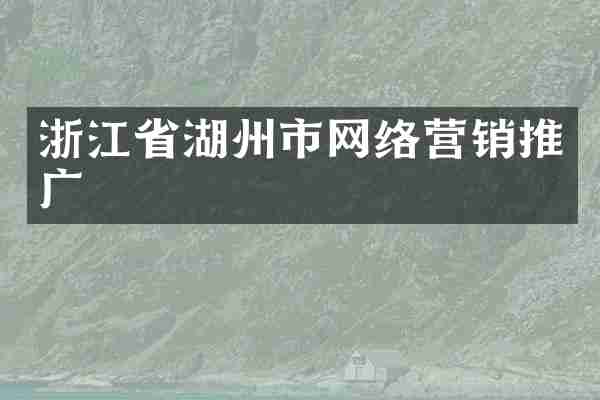 浙江省湖州市网络营销推广