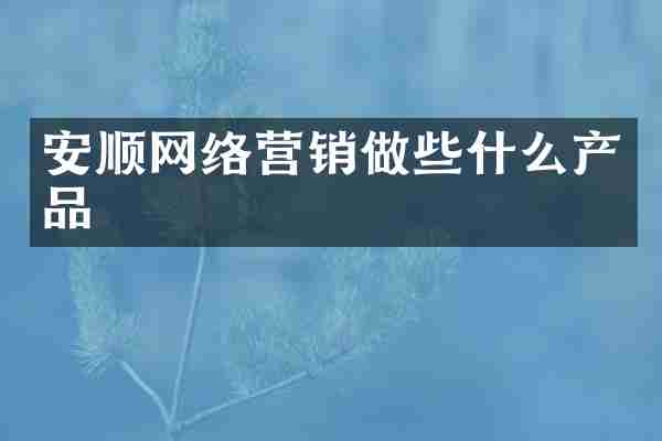 安顺网络营销做些什么产品