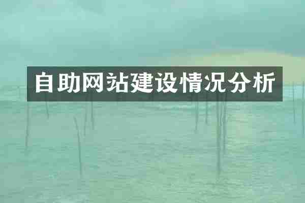 自助网站建设情况分析