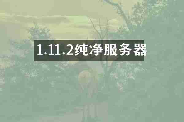 1.11.2纯净服务器