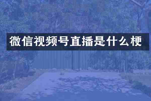微信视频号直播是什么梗