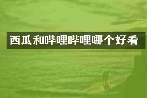 西瓜和哔哩哔哩哪个好看