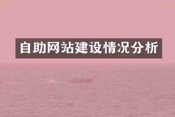 自助网站建设情况分析