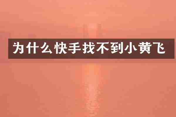 为什么快手找不到小黄飞