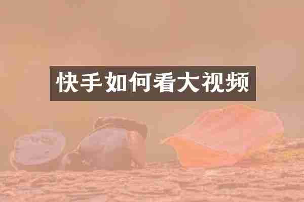 快手如何看大视频