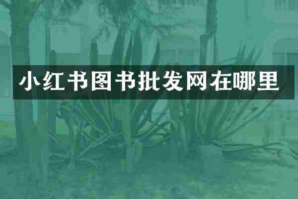 小红书图书批发网在哪里